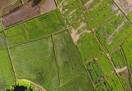 Commercial Storage Development