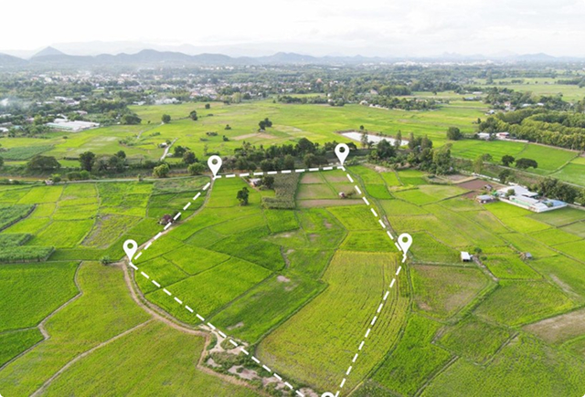 Key Advantages of the Company